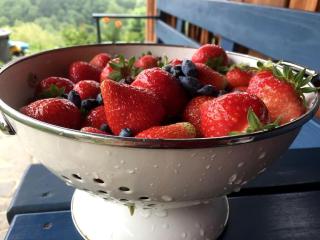 Idyllic Family Getaway on a Working Farm in Transylvania, Romania - Valea Tîrnei - 1