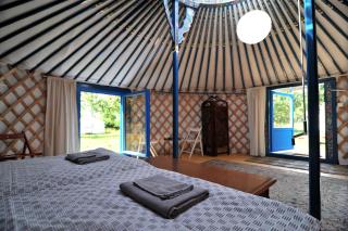 Idyllic Yurt with Organic Fruit Garden near Cesky Brod, Czech Republic - 4