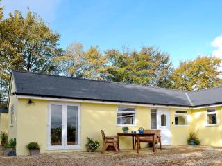 Brynllin Holiday Cottages - Dildre - Penuwch - 9