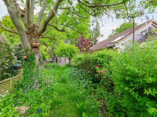 Crumble Cottage - Bradford on Avon - 5