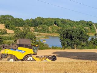 Hayfield Haven-Uk40691 - Crowhurst - 8