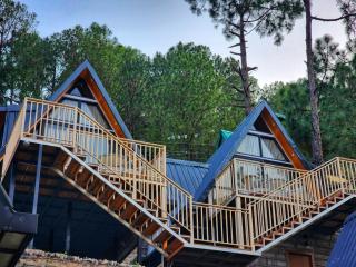 Musical Paradise - Kasauli - 9