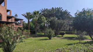 Résidence Palmeraie - Marrakech - 4