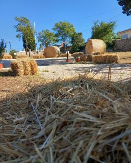 Il trullo della nonna - Martina Franca - 9