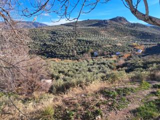 Graneje - Jaén - 3