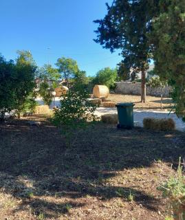 Trullo martina - 9