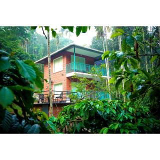 Cindrella resort, Chundale, Wayanad - Jāmb - 5