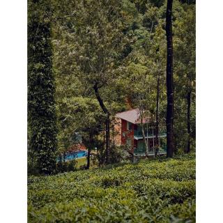 Cindrella resort, Chundale, Wayanad - Jāmb - 4