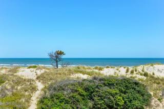 7100 Pelican Oasis 1 Min Walk to the Beach - Nags Head - 8
