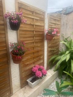 Tropical Garden Home - Cozy Ground Floor Stay - San Pedro del Pinatar - 9