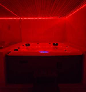 Appart design Jacuzzi Sauna, Salle de sports - Emmerin - 9