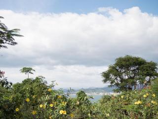 SAYA Nest Self-Service Home in Rainforest Nest with Kitchen - Monkeys, Bats, Pet Friendly with a Fee - 3