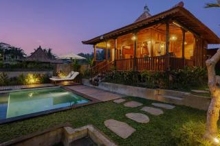 Carik Mesari Villa 2 - Ubud - 0