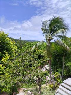 Siquijor Hilltop House Near Cambugahay Falls - Lazi - 8