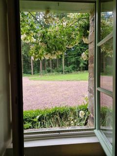 Paimpont: Gîte de la Haute Fenderie - Paimpont - 3
