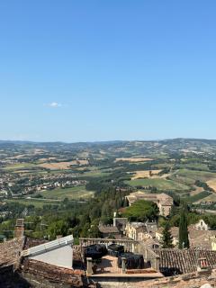 Nido di Gufi - 5