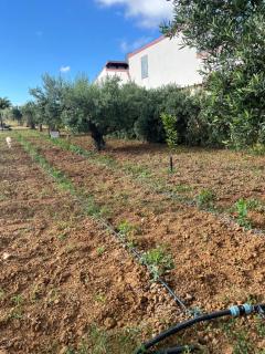 Casa RALIVO di Sicilia - 1