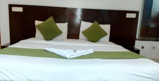 hotel near airoprt - Nuova Delhi - 1