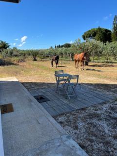 Casa RALIVO di Sicilia - Balestrate - 2