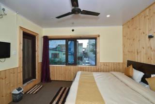 Hotel Iceland - Srinagar - 5