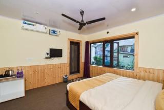 Hotel Iceland - Srinagar - 7