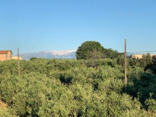 B&B VillaRosa - Vasto - 1