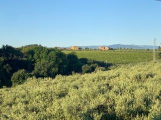 B&B VillaRosa - Vasto - 2