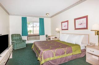 Super 8 by Wyndham Willcox - 4