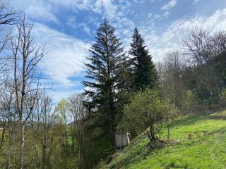 Chambre cosy en pleine nature, proche de Dijon - - 1