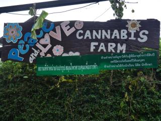 Muangkham Peaceandlove Farm - Ban Doi Hang - 9
