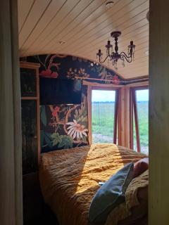 Sycamore and Stars Off Grid Retreat - Grasby - 2