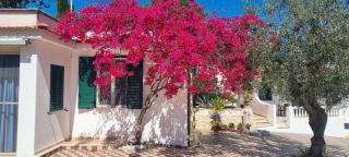 Residence Maresol - 1