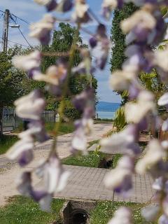 Jenna Apartments - Pinka - Balatonszárszó - 4