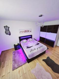 Charmante Wohnung Basel Dreiländereck CH, DE & FR - Basel - 5
