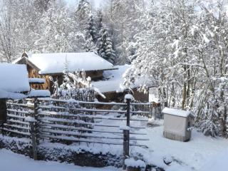 Eco-friendly chalet near the lake in Asten - Tittmoning - 5