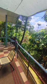 Green porticos villas munnar - Anachal - 1