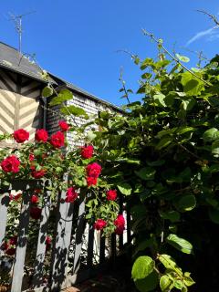 Le Nid Sainte-Catherine - Honfleur - 2