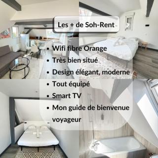 Soh Rent Appartement 3p Schiltigheim - Schiltigheim - 9