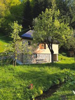Farmstead Green Haven - Mojkovac - 9