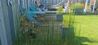 Oasis de Détente avec Piscine et Jacuzzi 300m2 - 9