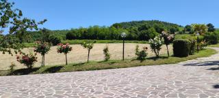 B&B Terra Camerte - 2