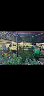 Guru guest house - Leh - 1