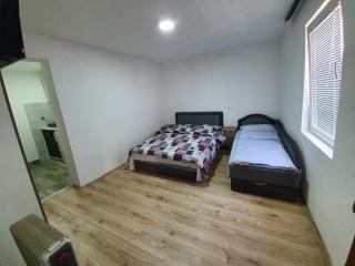 Studio Konak 3 Sokobanja - Soko Banja - 0