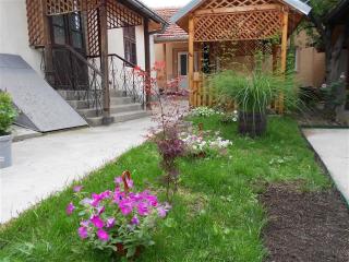 Studio Konak 3 Sokobanja - Soko Banja - 2