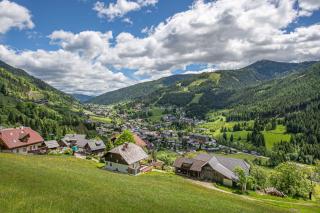Panorama-Appartement Bergglück - Bad Kleinkirchheim - 9