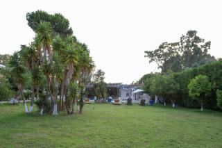 Villa Green Apartments - Preveza - 1