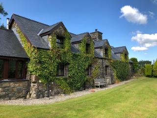 Detached cottage in the hills near Dolgellau - Cross Foxes - 8