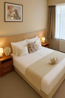 Plaza Hotel Gyula - Gyula - 0