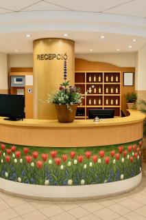 Plaza Hotel Gyula - Gyula - 6
