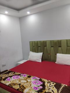 Hotel Blue moon - Nuova Delhi - 1